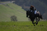 /album/fotogalerie/dnes-rano-jpg/